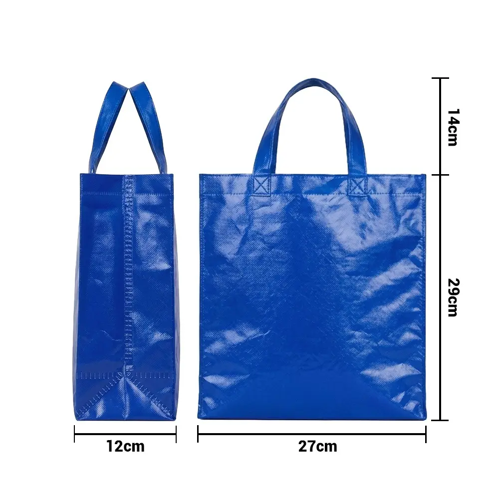 bolso plastificado azul 27x29x12 medidas.webp