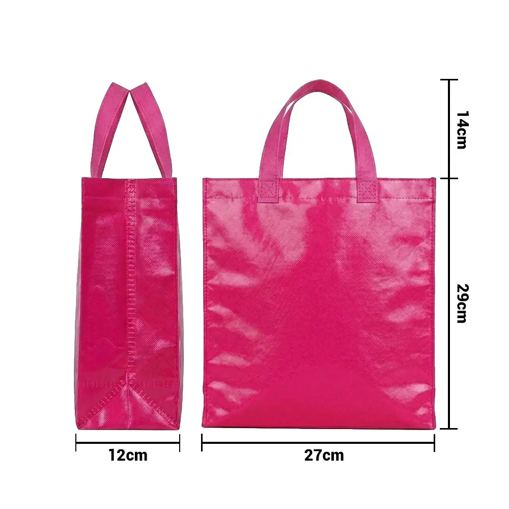 bolso plastificado fucsia medidas 27x29x12.webp