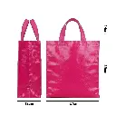 bolso plastificado fucsia medidas 27x29x12.webp