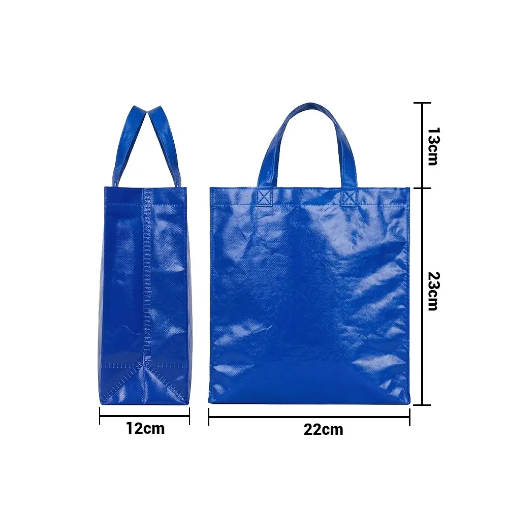 bolso plastificado azul 23x22x11 medidas.webp