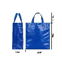 bolso plastificado azul 23x22x11 medidas.webp