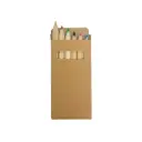 CAJA DE COLORES ECOLOGICOS SIX